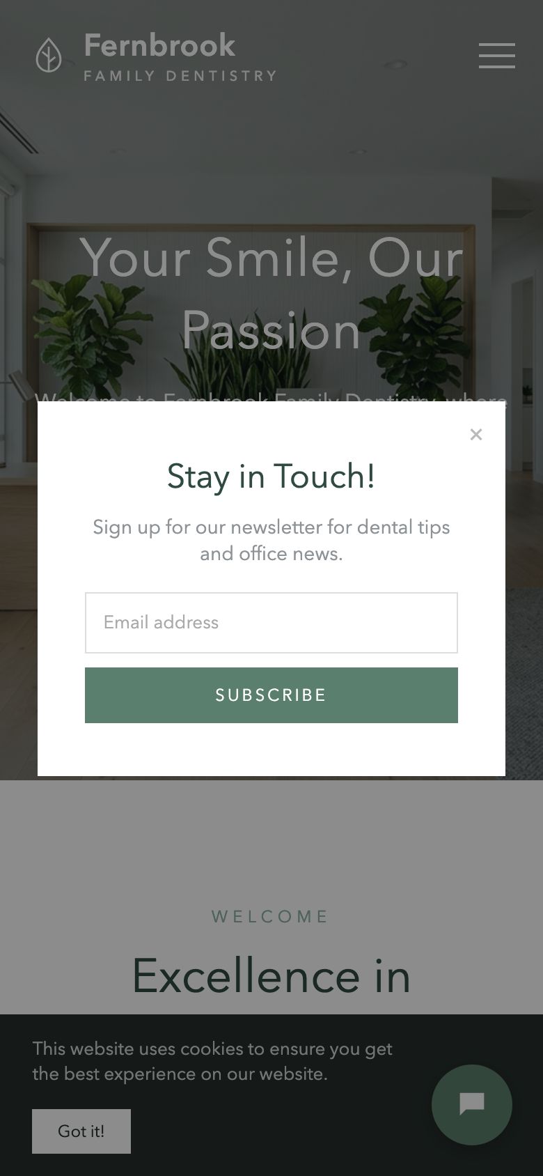The same homepage on a phone with a newsletter pop-up covering it